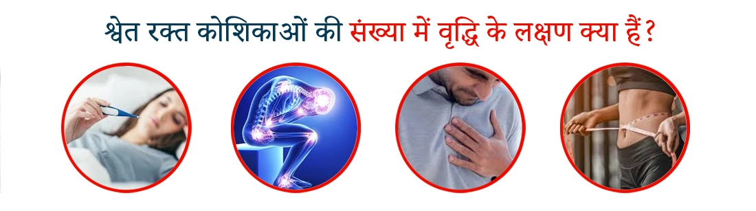 Symptoms of Increased White Blood Cells in Hindi
